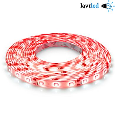 Светодиодная лента герметичная -12V-2835/3528smd-60 led/м-бабина/5 метров-красный цвет, Красный, 12V
